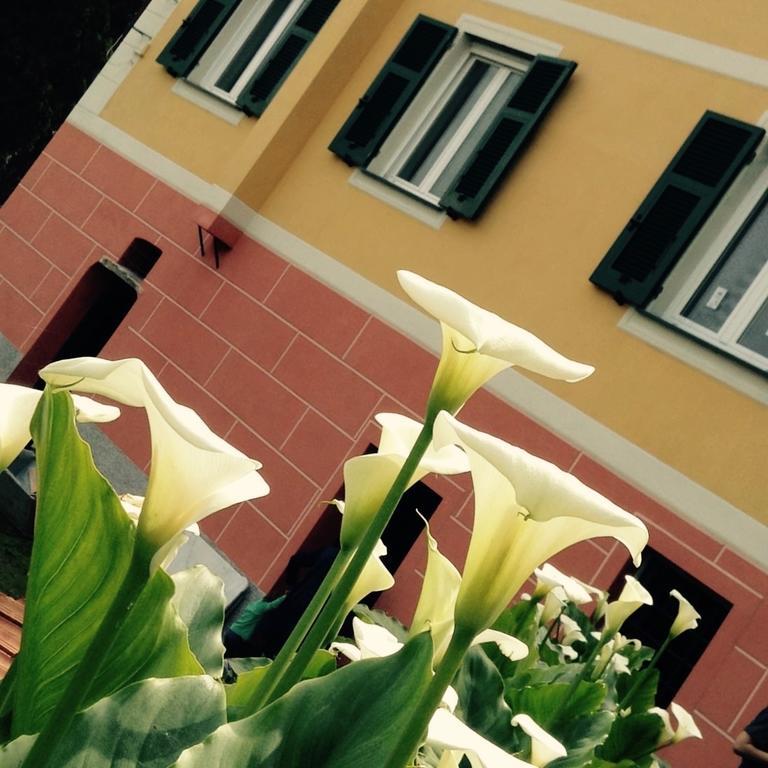 BBQ Lodge Camogli Exterior foto